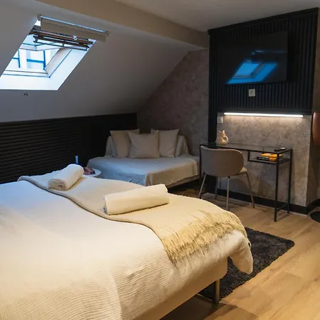 Modern 2 Private Bedrooms In The Heart Of ヘント